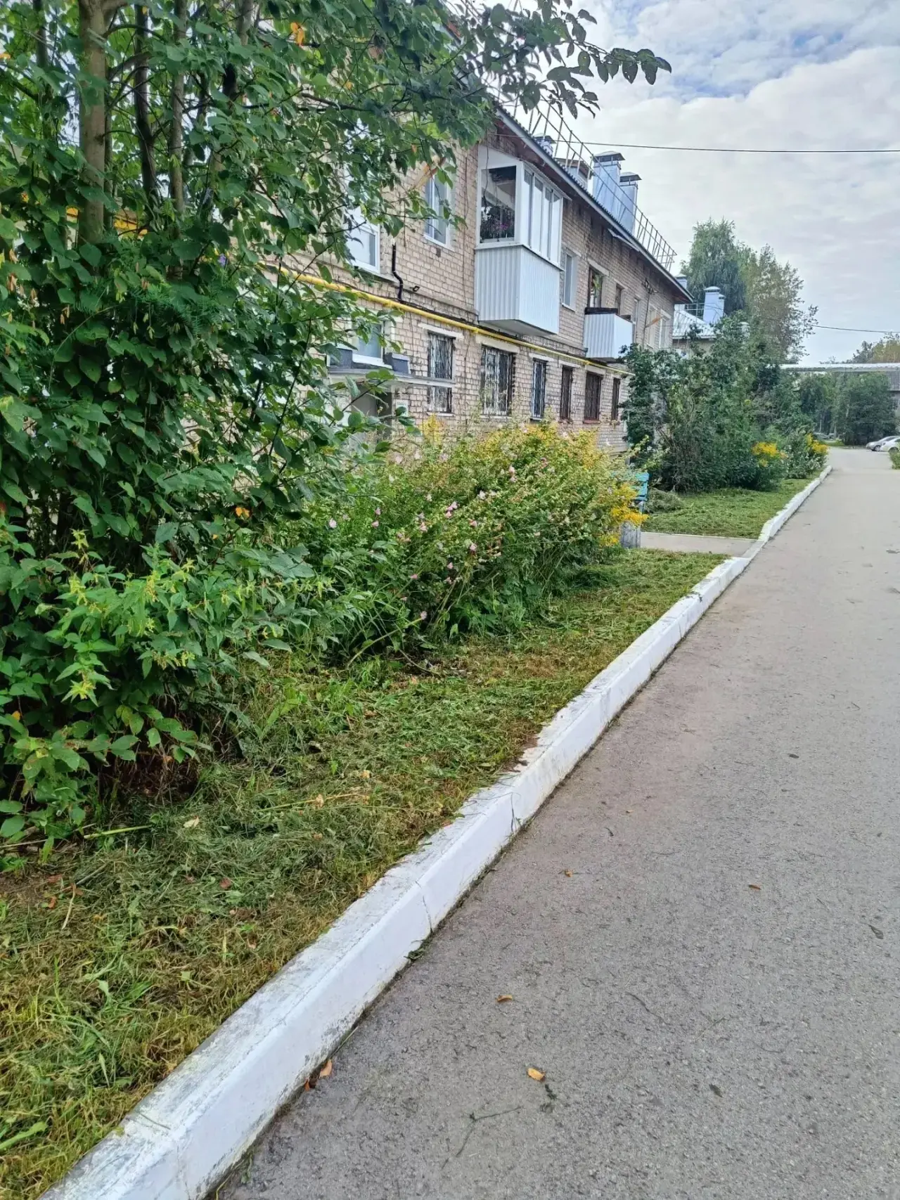 🌿 Продолжаем приводить территорию в порядок
