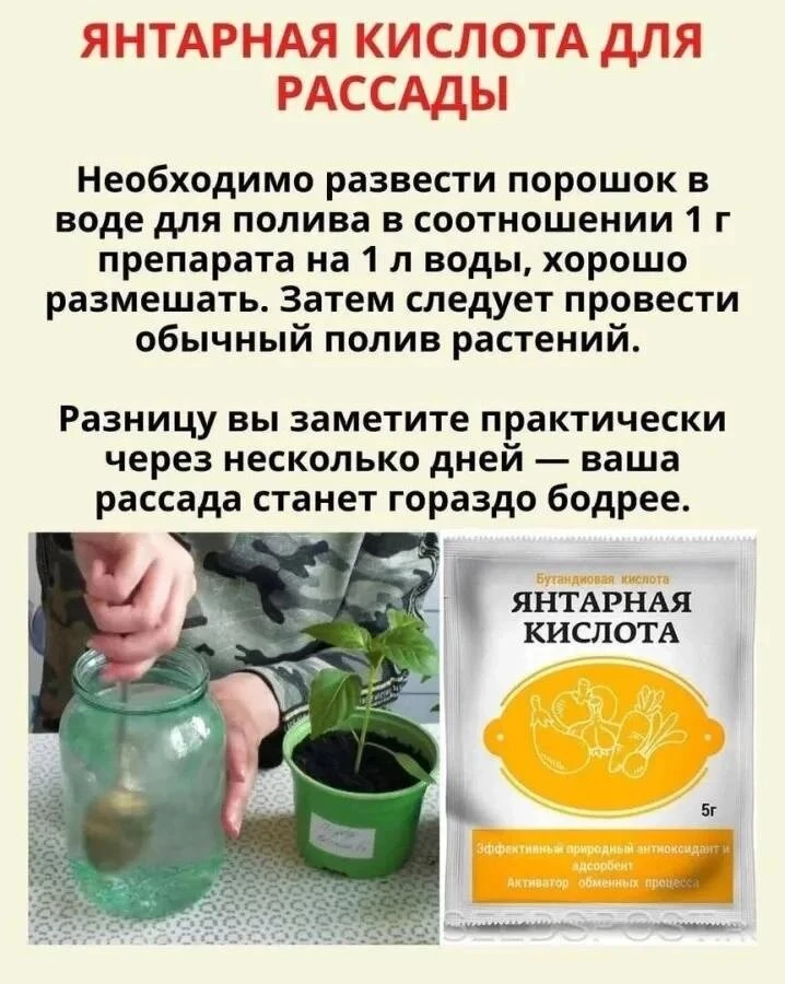 Берём на заметку!📌

🧓 Пенсионеры РФ