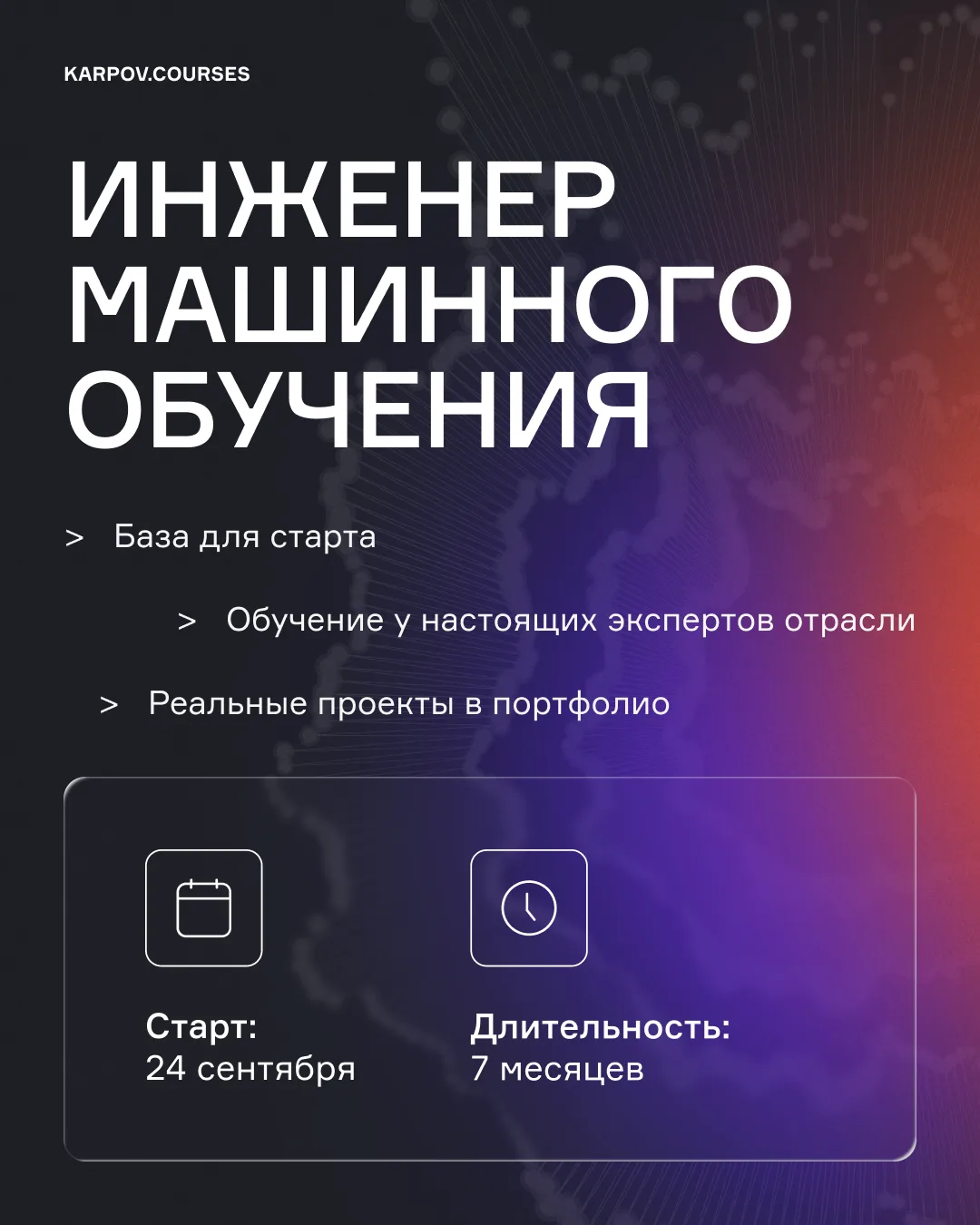 Спрос на них вырос на 433 % только за последние годы