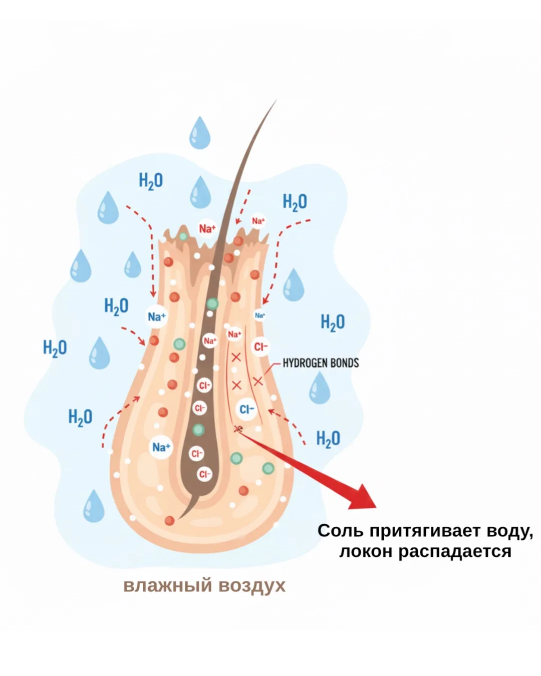 1️⃣ Почему считается, что солевой спрей улучшает накрутку и делает волосы «жёстче»
