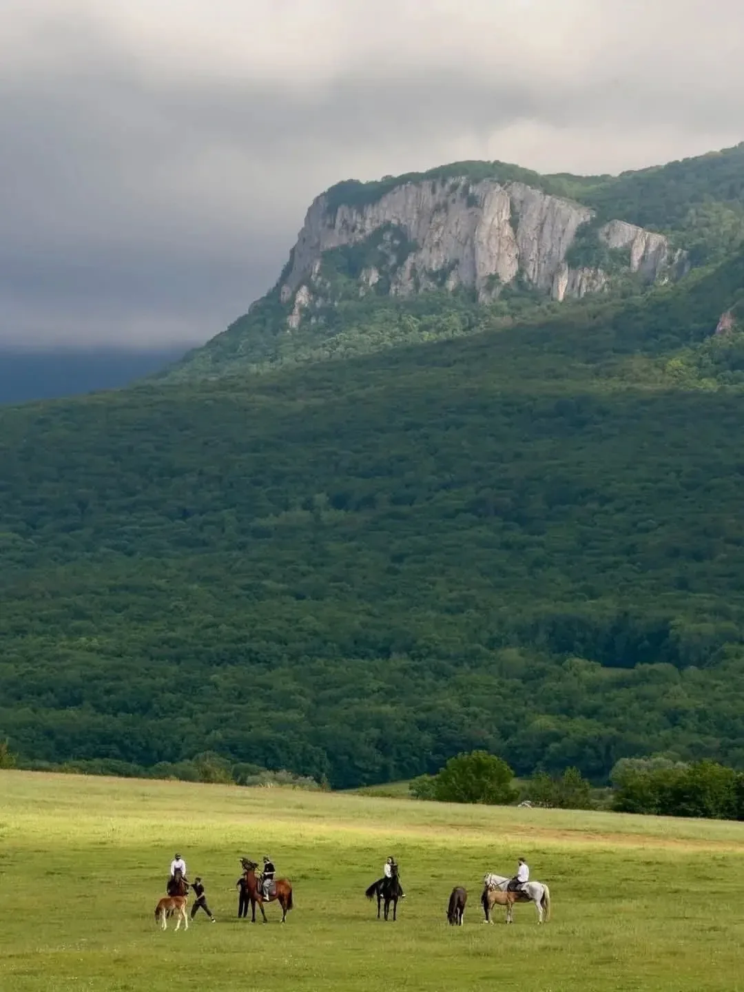 ⛰️ База отдыха «Кабаний перевал»

📍44.514997, 33.850481
Бахчисарайский район

Конные прогулки  🐎
Н