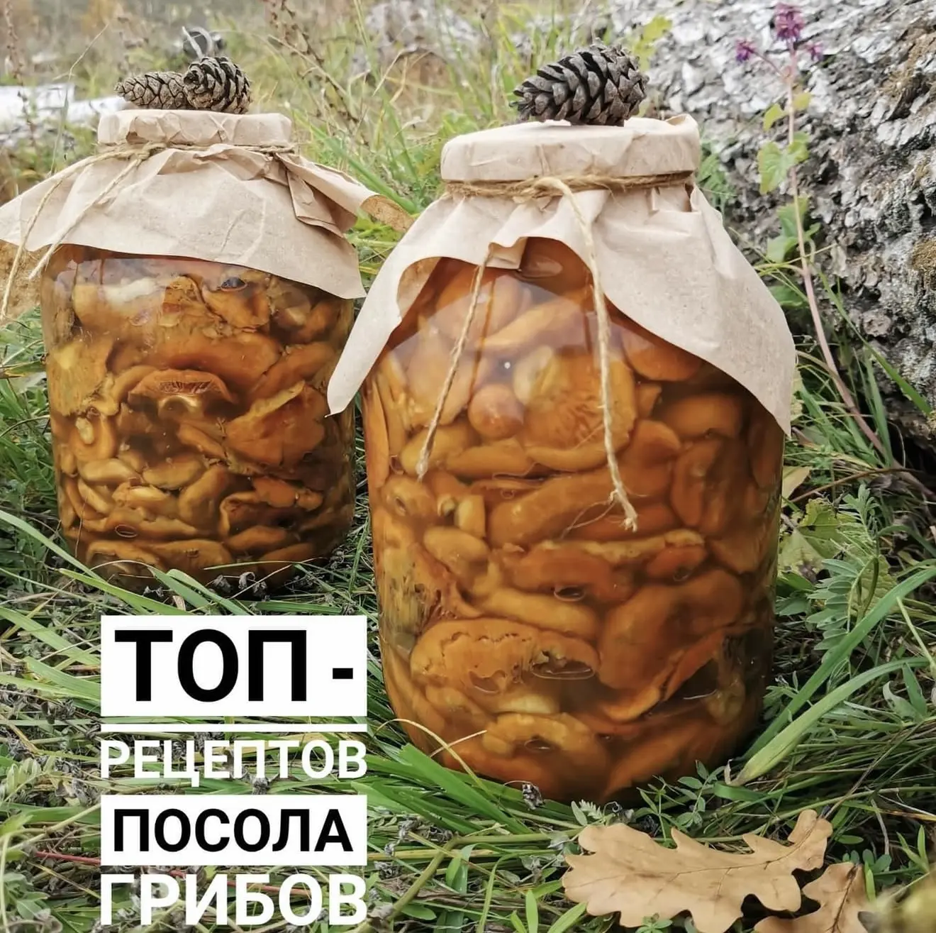 СОЛИМ ГРИБЫ - БЫСТРО И ПРОСТО!