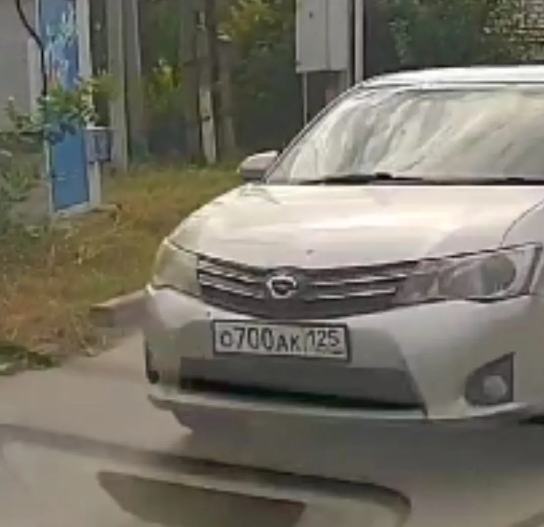🚨 🚔 ‼️ Вот такое чудо встретилось на Михайловке 🤦‍♂️
