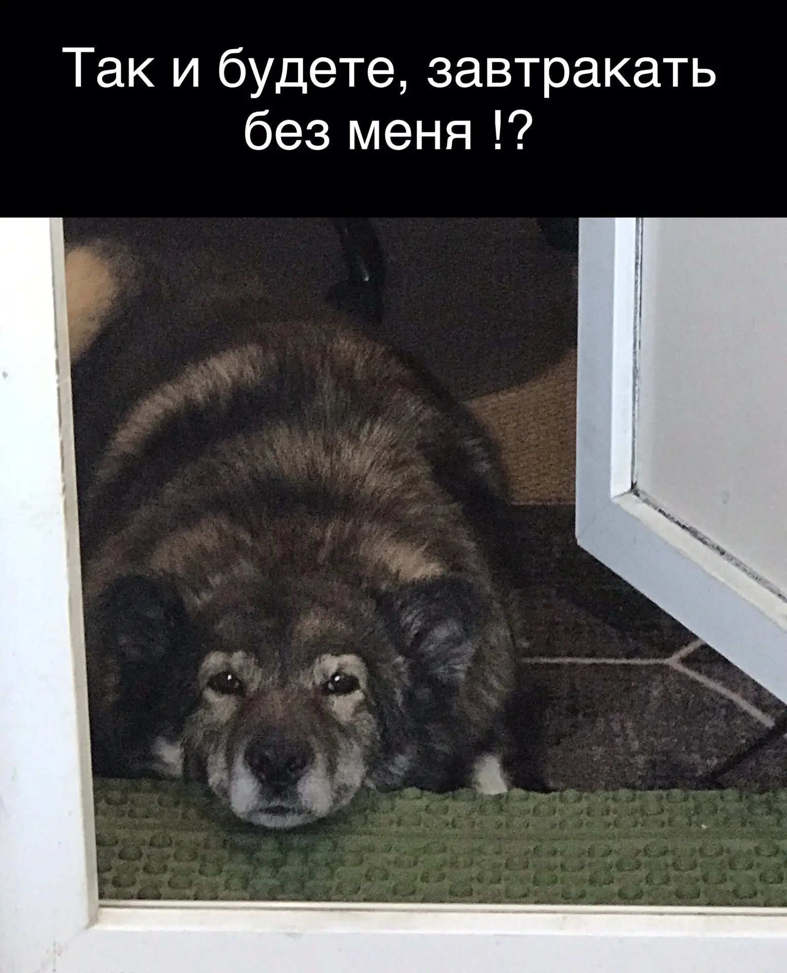 Всем доброго утра и хорошего дня 🙏❤️