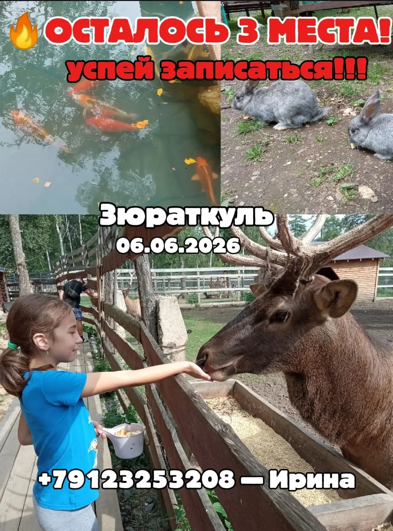 🏔ТВД "ЗЮРАТКУЛЬ — МАРАЛОВОЕ ХОЗЯЙСТВО"