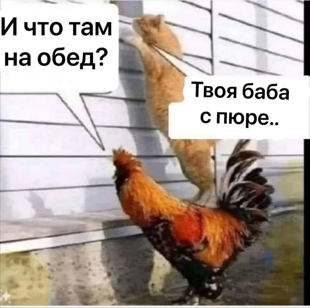 Жми подписаться🤣