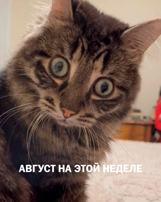 До осознания 3...2...1...

Остается чуть больше месяца до конца лета и старта учебного года. Просто 