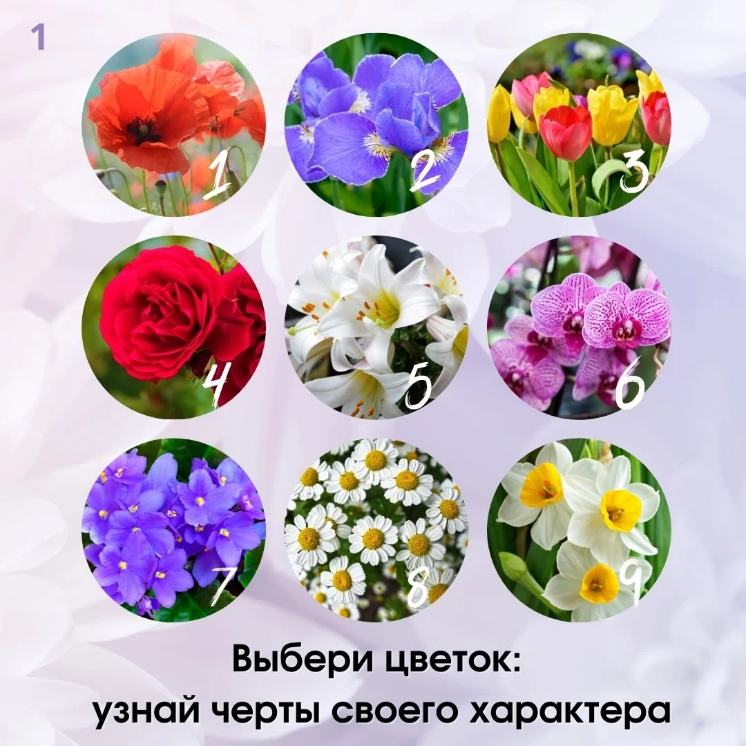🌸 24 июля - день флориста в России. 

Какое счастье останавливаться перед витринами цветочных магаз