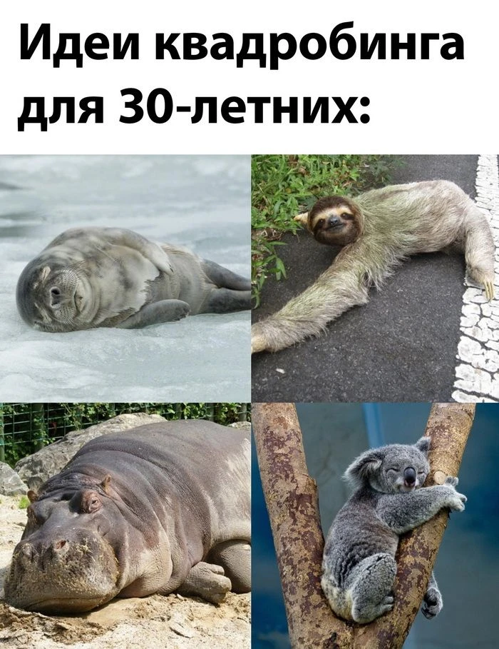 😴 Спокойной и мирной ночи, мои хорошие! Бог держит всё под контролем - засыпайте споко...
