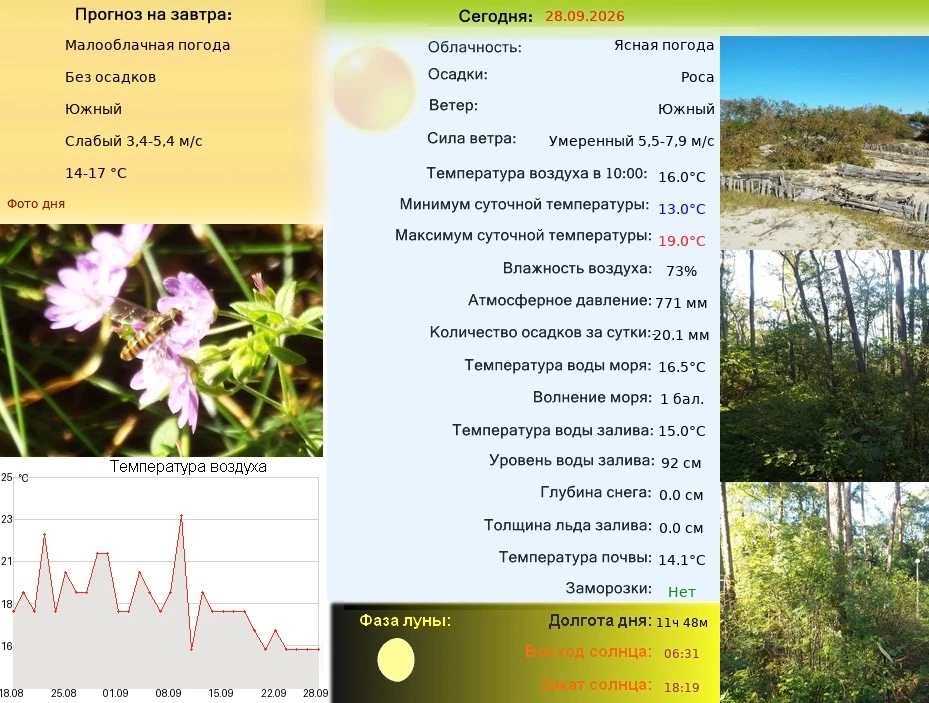 #куршскаякоса #погода