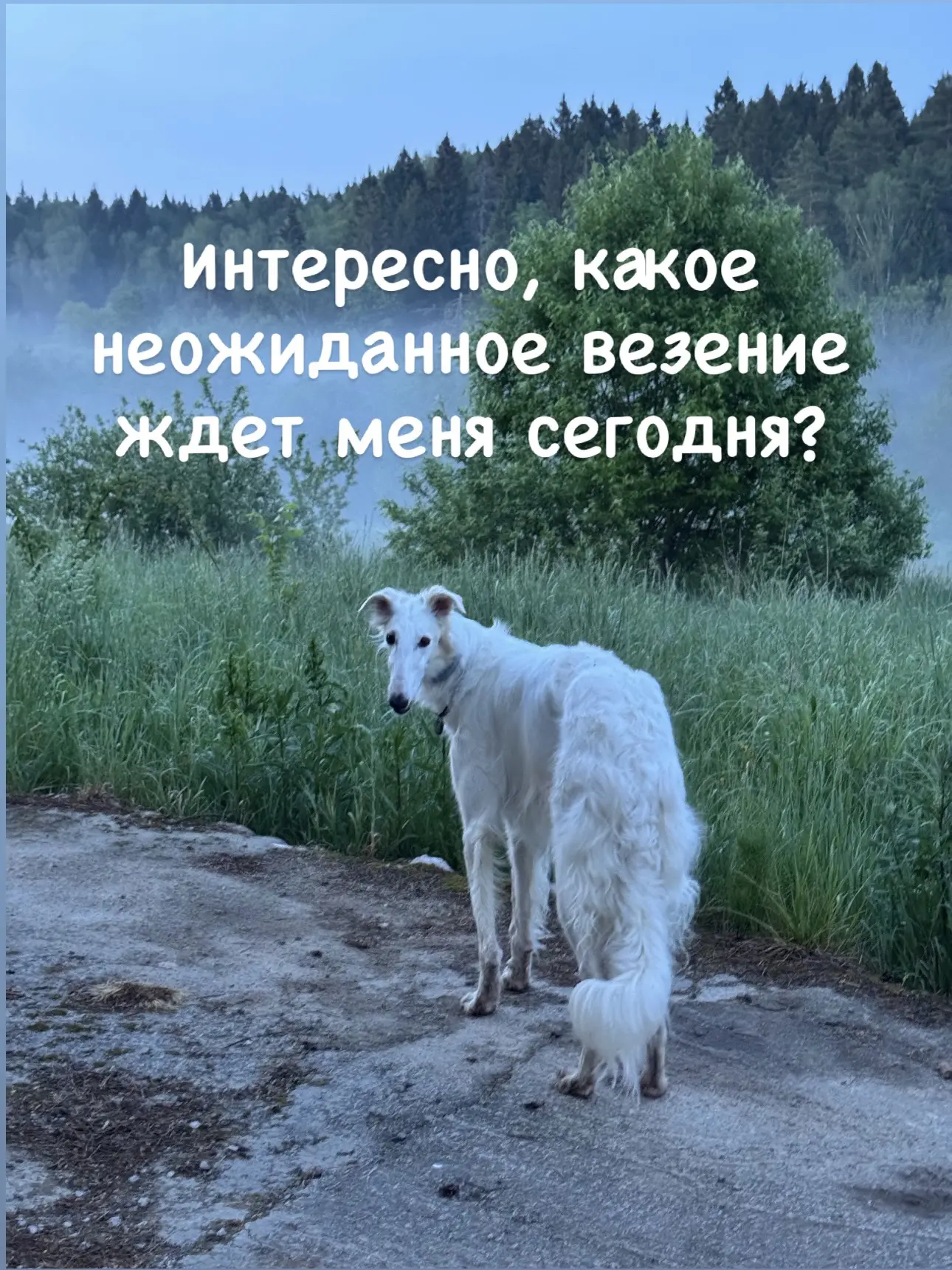 Привет, друзья!
