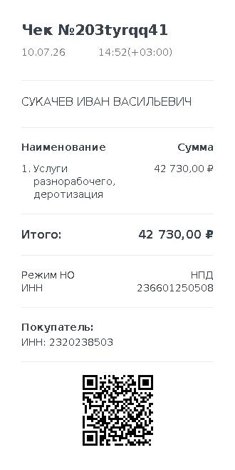 https://lknpd.nalog.ru/api/v1/receipt/236601250508/203tyrqq41/print