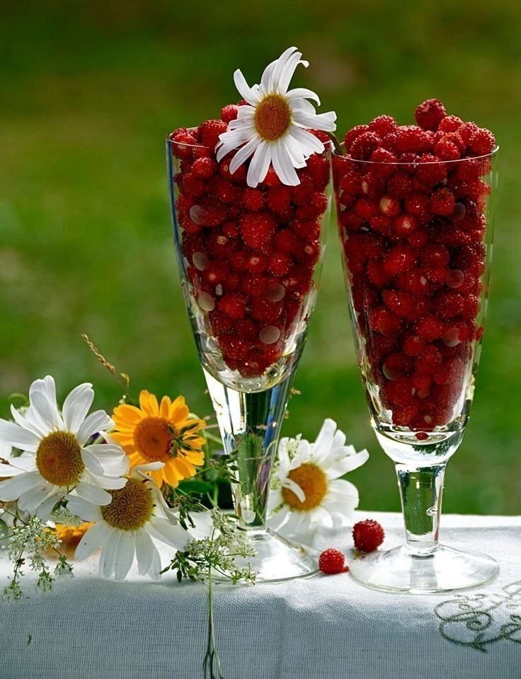 ‍☘️ 🍓 ☘️