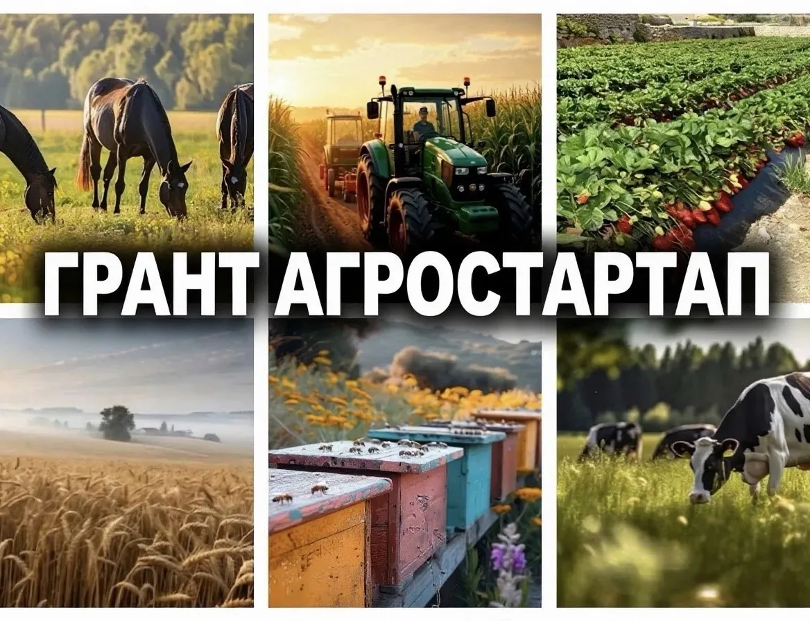 Контрольно‑счетная палата Чувашской Республики проверяет расходование бюджетных средств...