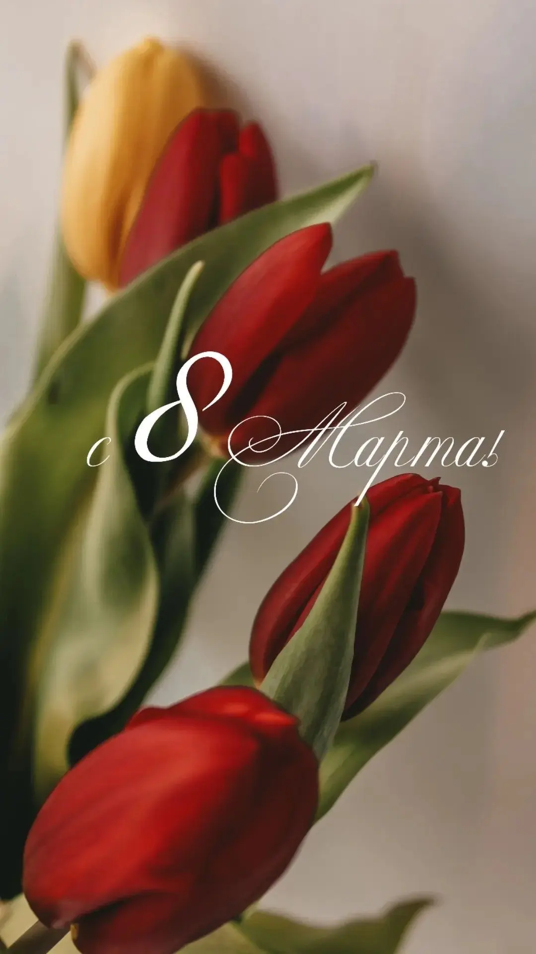 Дорогие дамы! 🌸