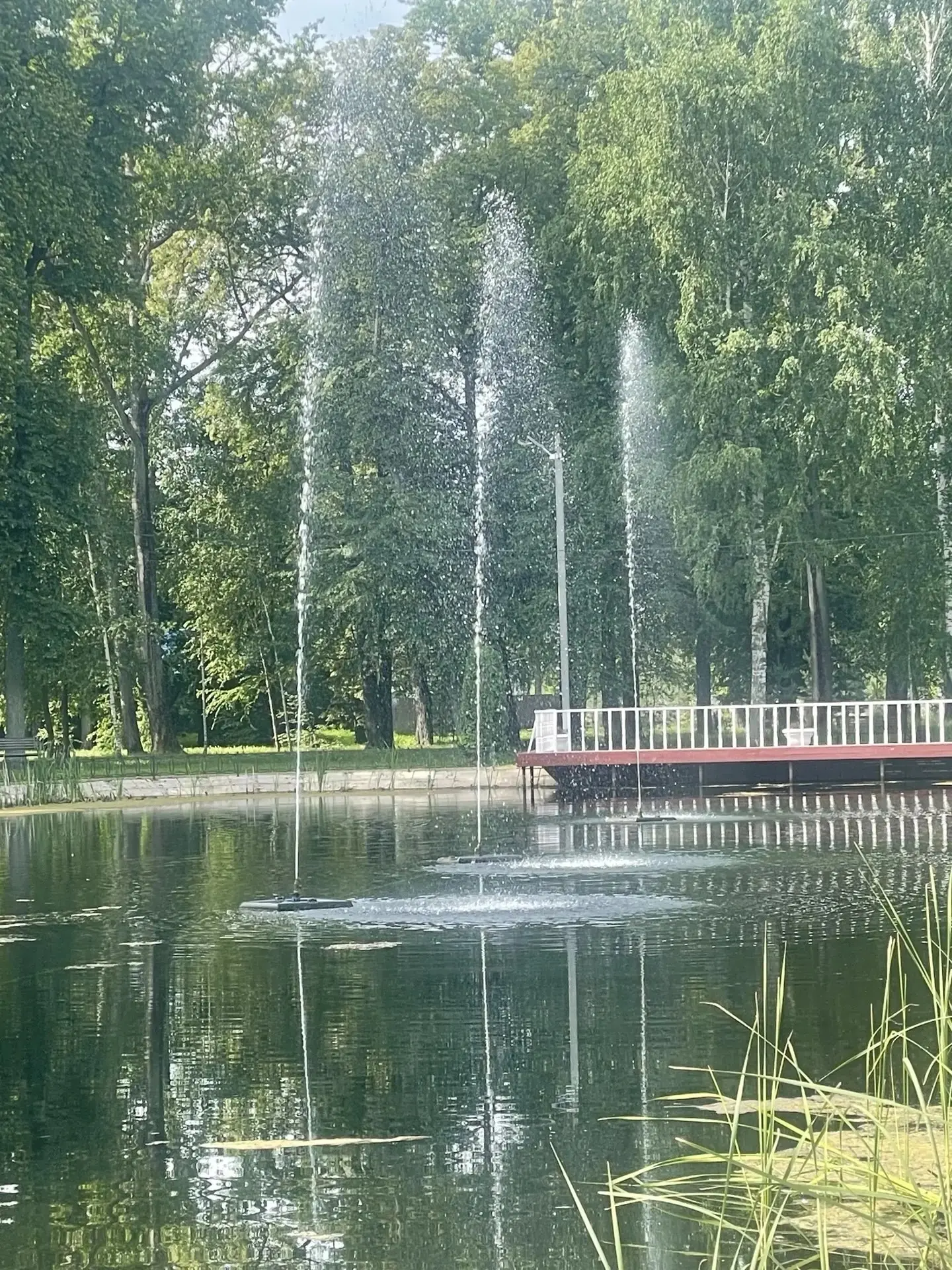 🌟В парке культуры и отдыха имени В.П. Филатова состоялся торжественный запуск фонтана....