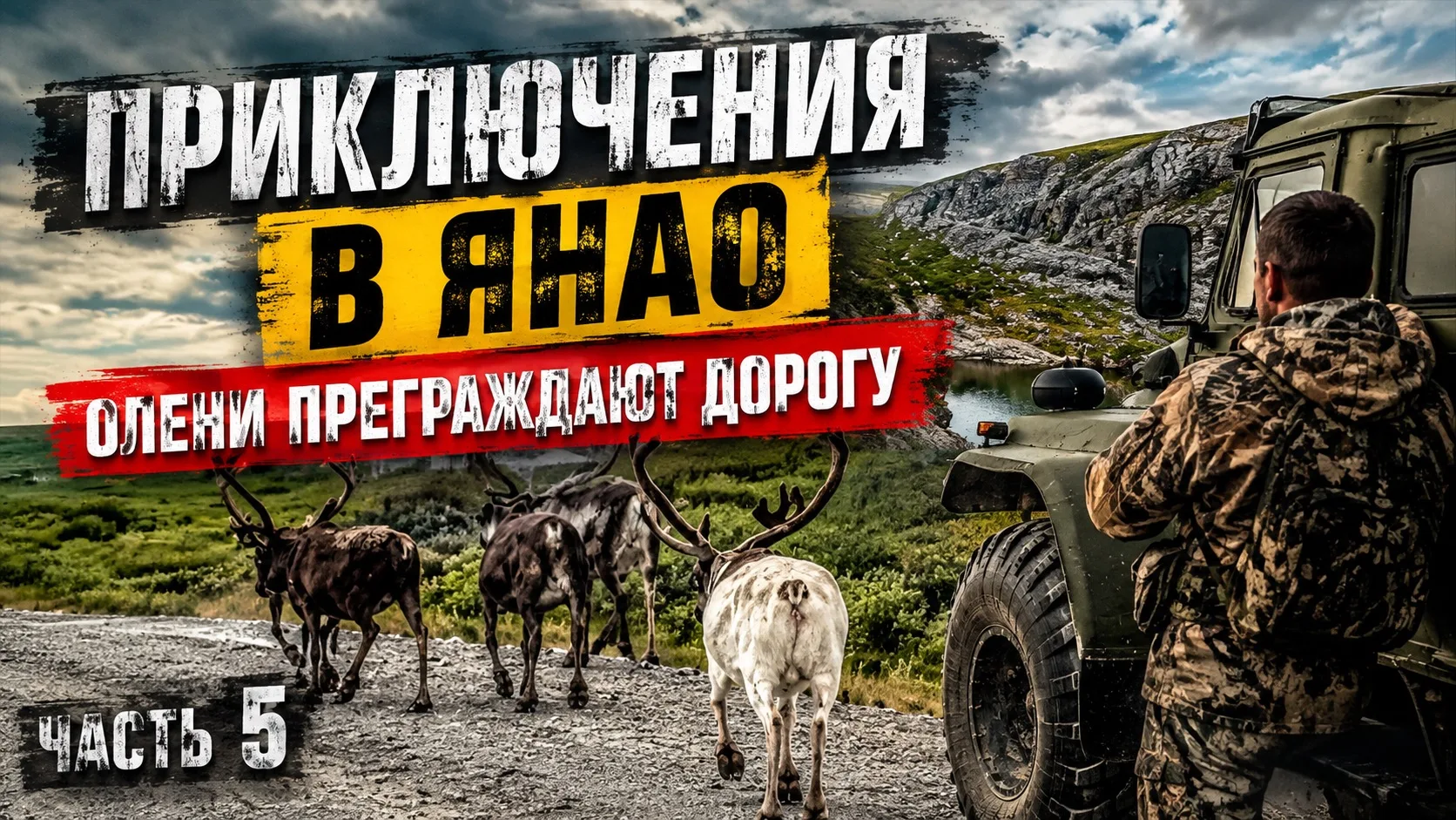 Премьера на Ютюбе ПРИКЛЮЧЕНИЯ В ЯНАО 2026 // ОЛЕНИ ПРЕГРАЖДАЮТ ДОРОГУ // СТОЛЬКО ХАРИУС...