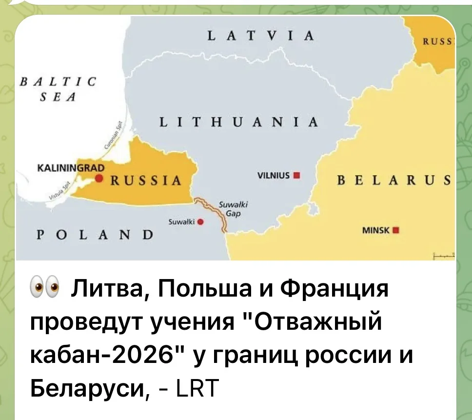 Страшно. Почему кабан? Там много животных и домашней птицы к выбору есть