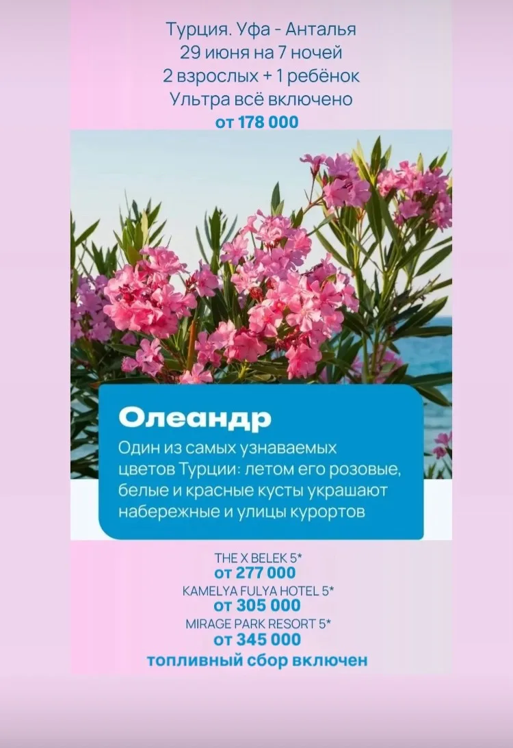 💥 Турция — это не только море 🐚

🌺 Некоторые туристы впервые приезжают в Турцию ради пляжей, а по