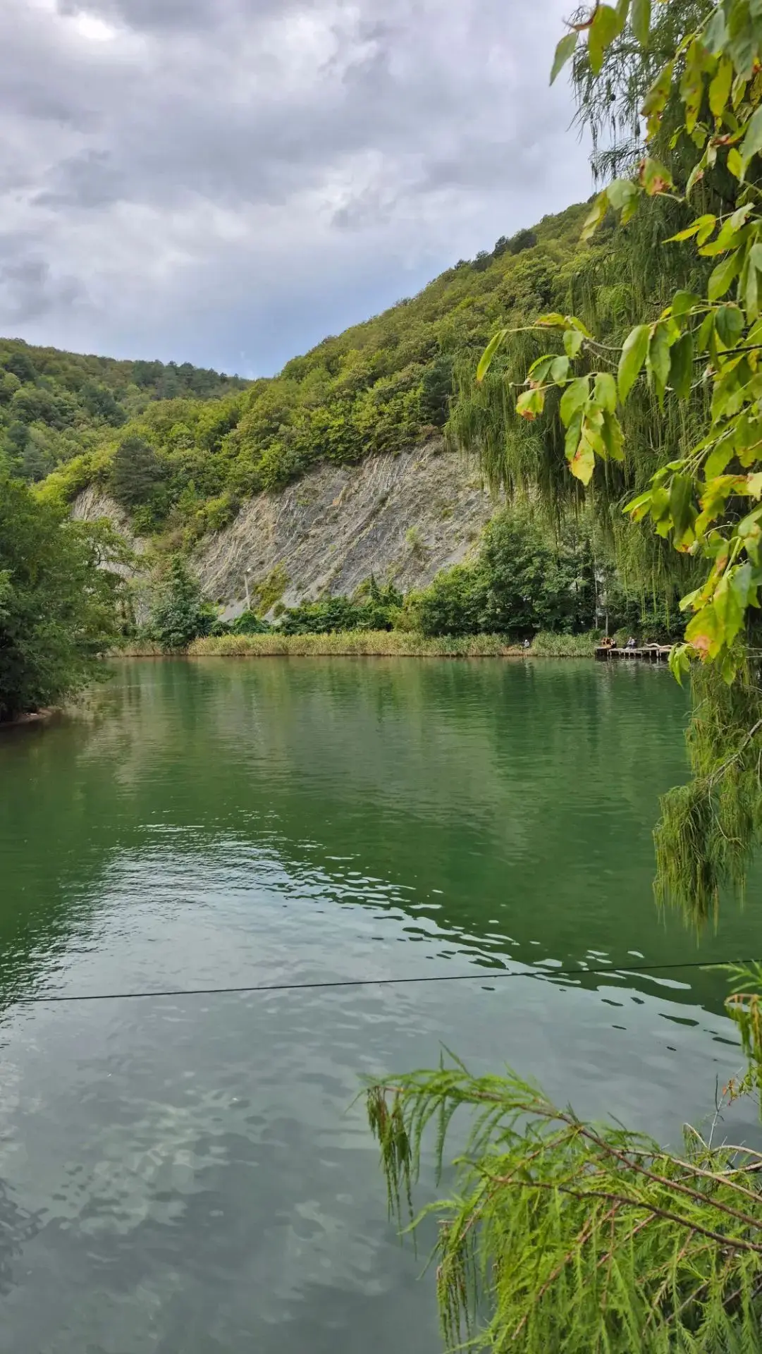 Архипо-Осиповка сентябрь 2026 года 🌿 Фото: Лилия