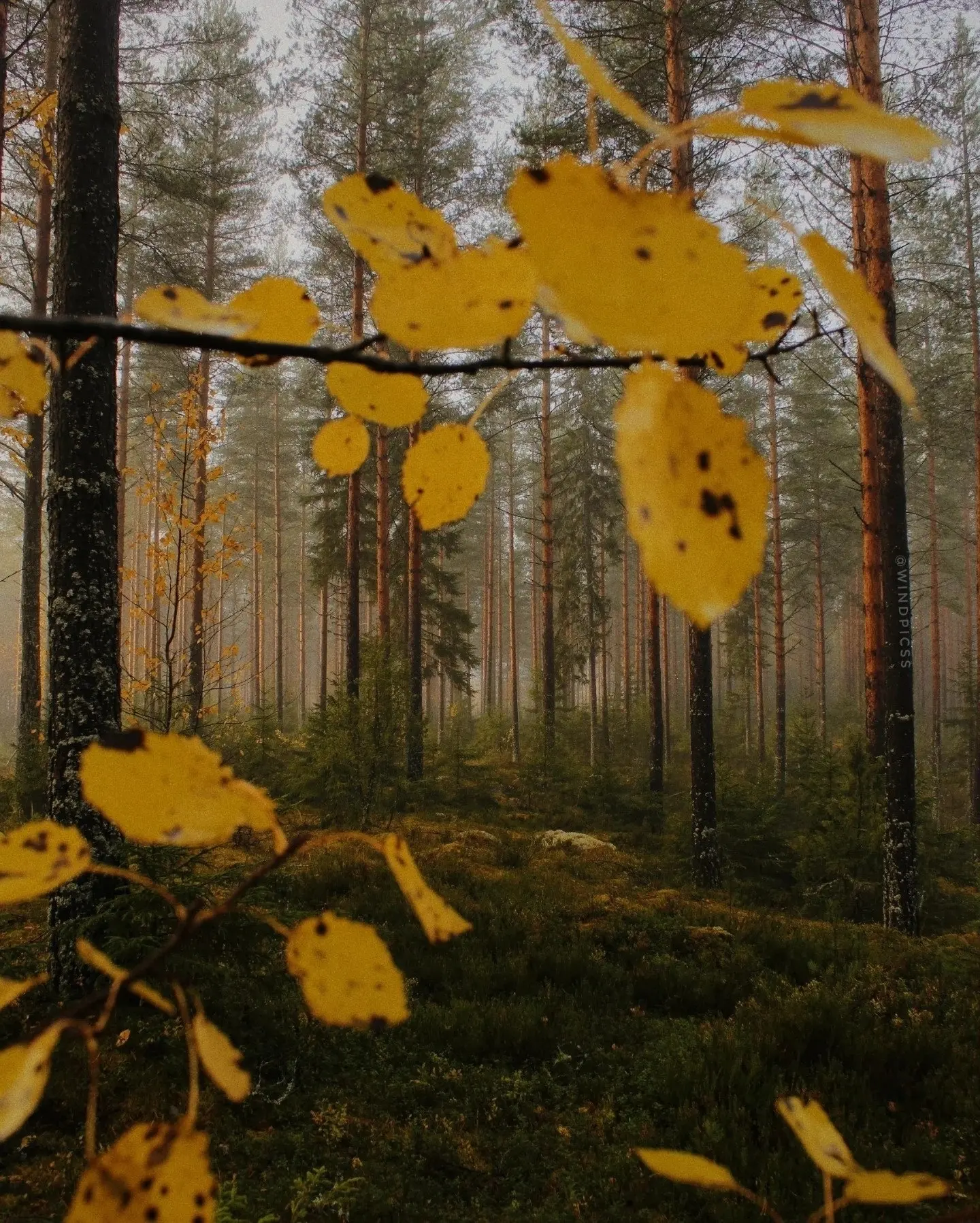 ЭНЕРГИИ ОКТЯБРЯ🍁