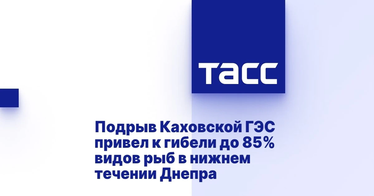 https://tass.ru/obschestvo/26898173