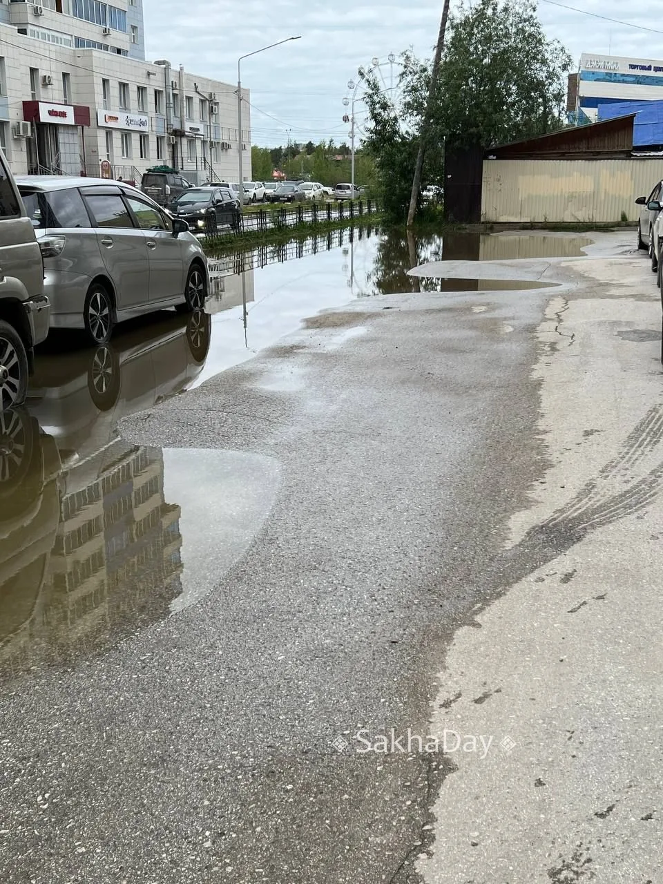 Опять многострадальная улица Пушкина: