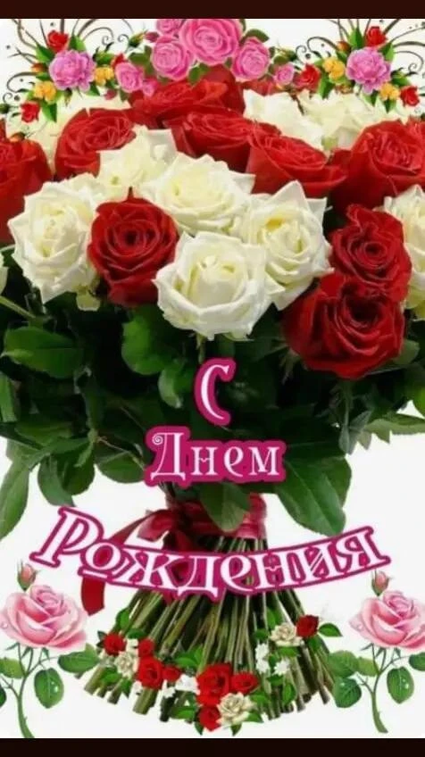 НАШИ КАНАЛЫ: