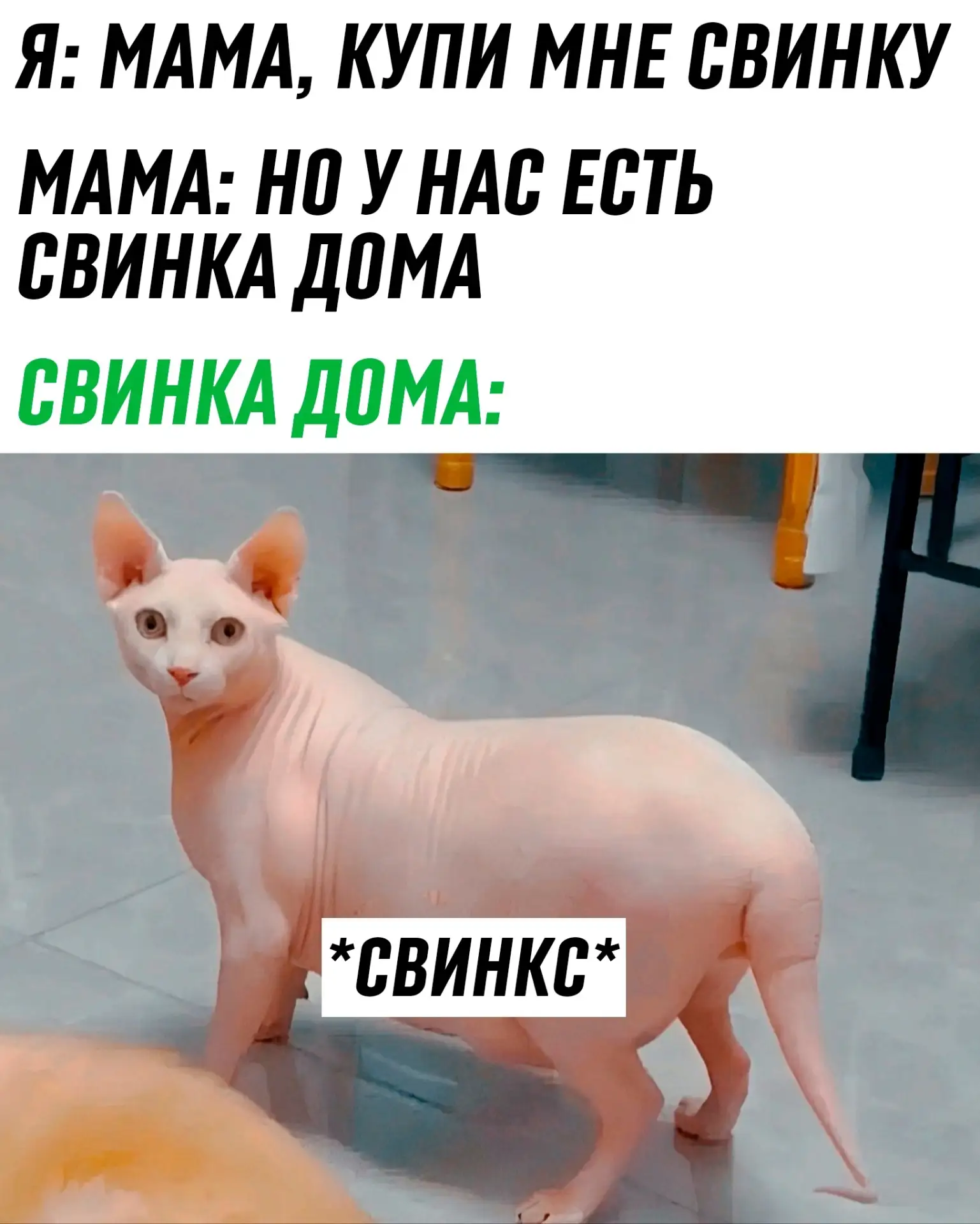 Создать ИИ песню 🎵
