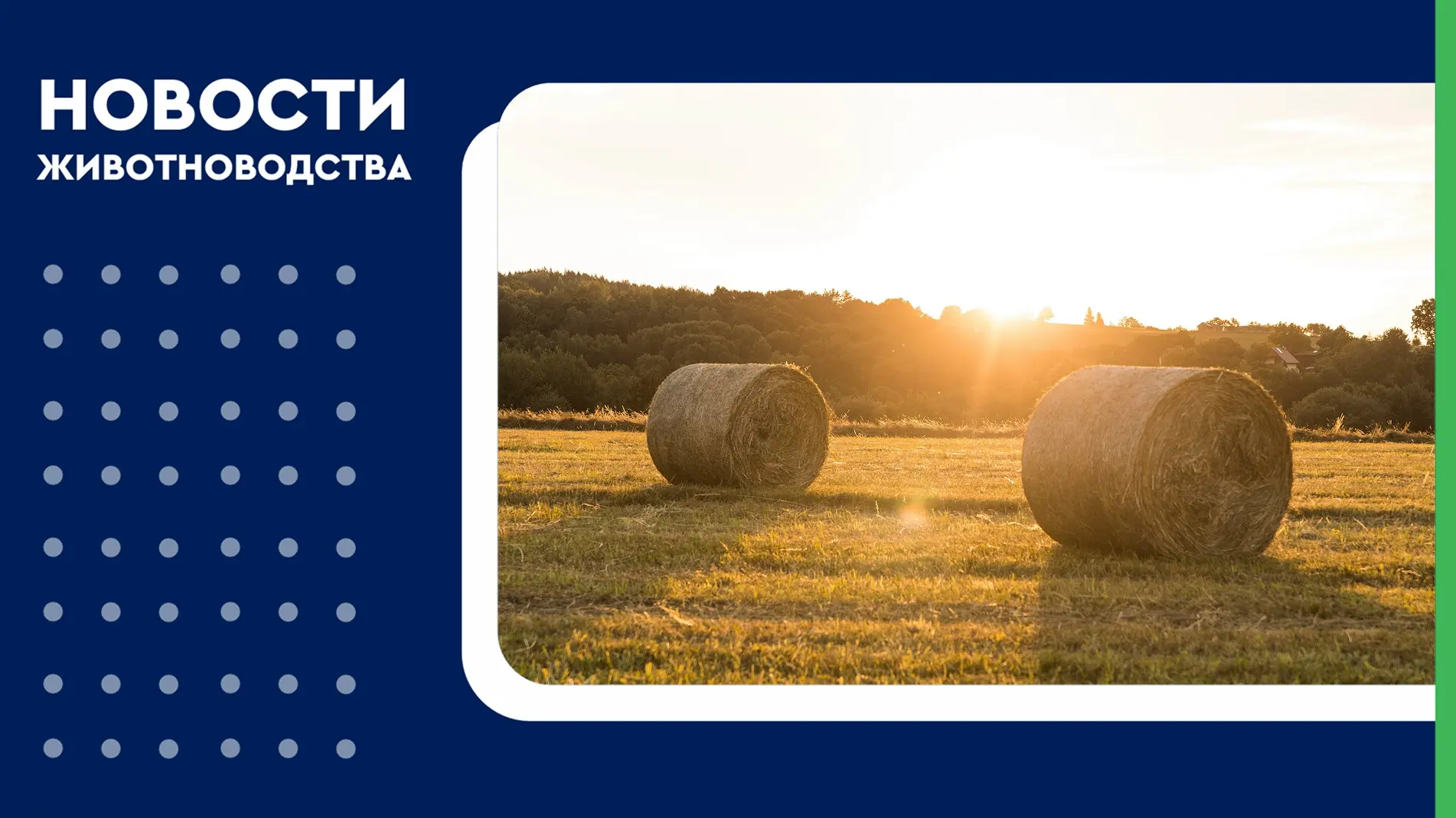 🐮🐔 Рязанские аграрии уже готовят животноводство к зиме