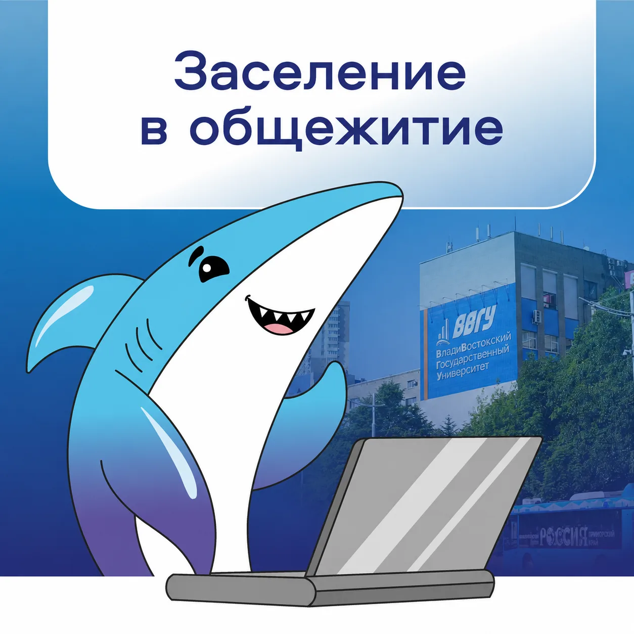 Как пройдёт заселение в студенческие общежития ВВГУ в 2026 году