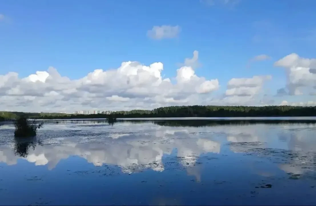 🐟 Как водные обитатели Верхнеяузского комплекса готовятся к зиме