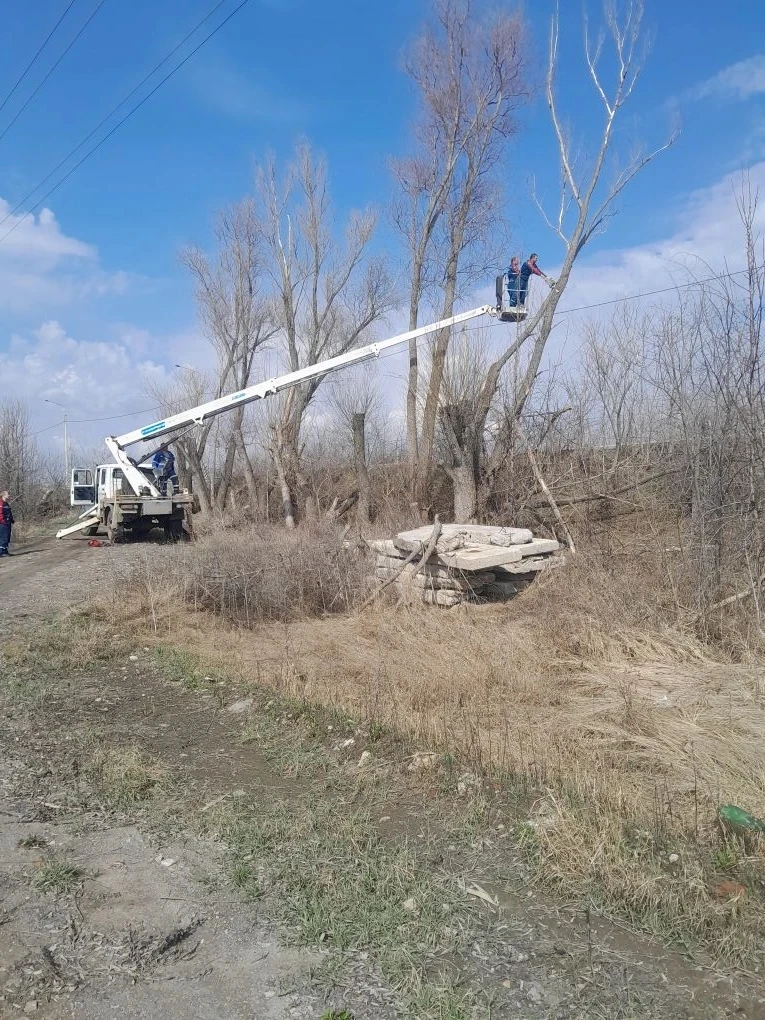 🍃1 апреля в Пузевском сельском поселении произведено кронирование деревьев в количеств...