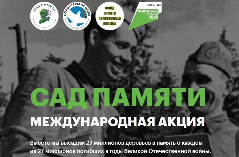 🌳⭐🎗Сад памяти в память о героях.