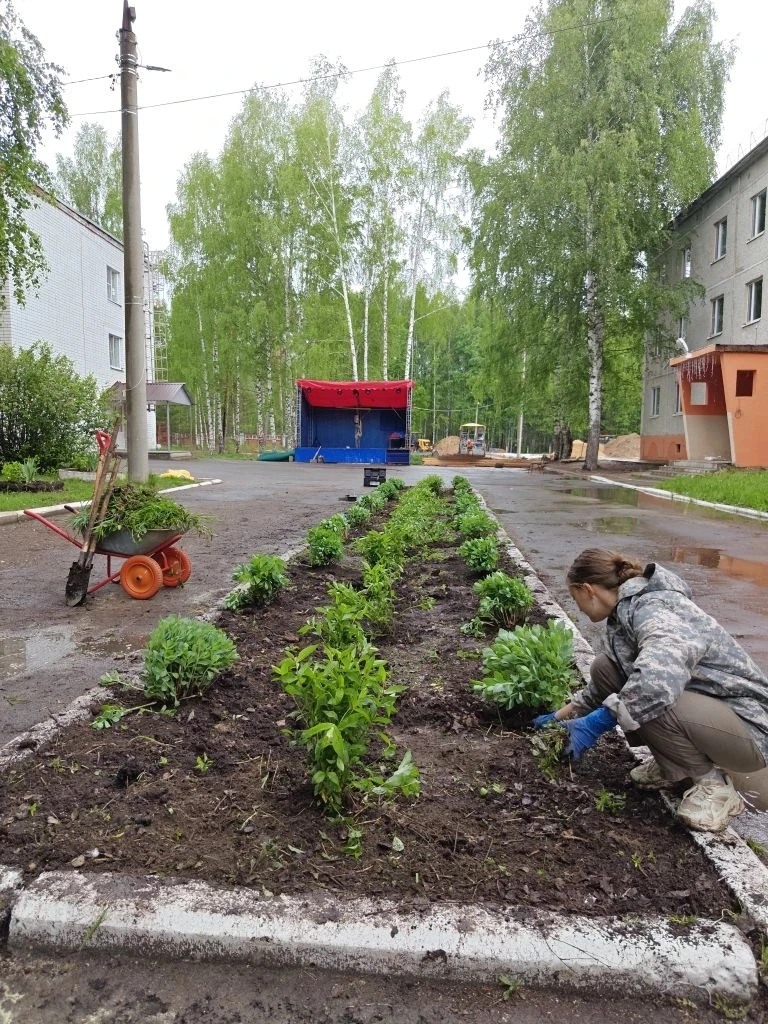 Лесная сказка: там, где забота видна в каждой детали!