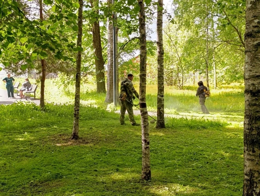 Уважаемые жители Старорусского округа!