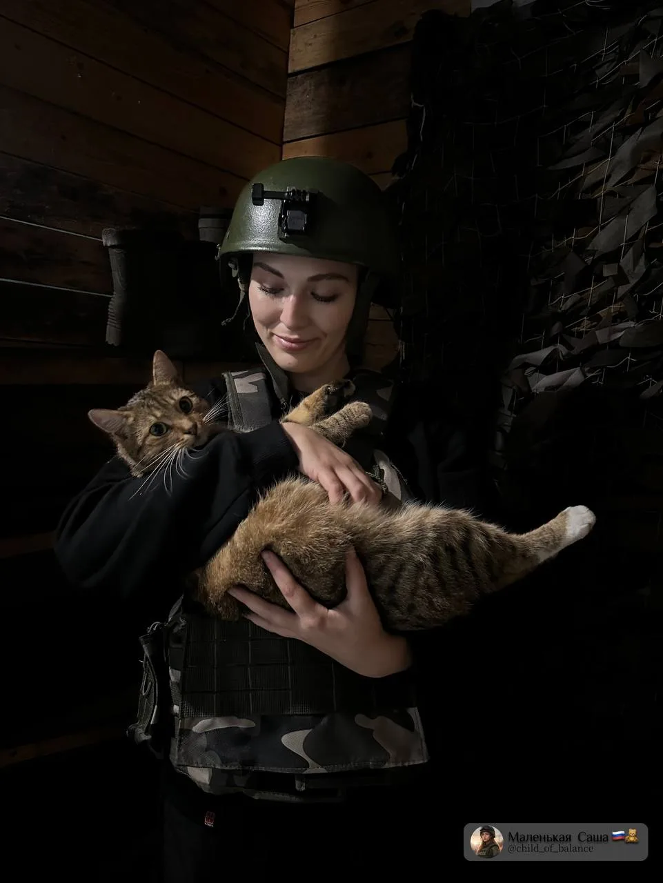 📲 Про котов, пауков и ПТСР
