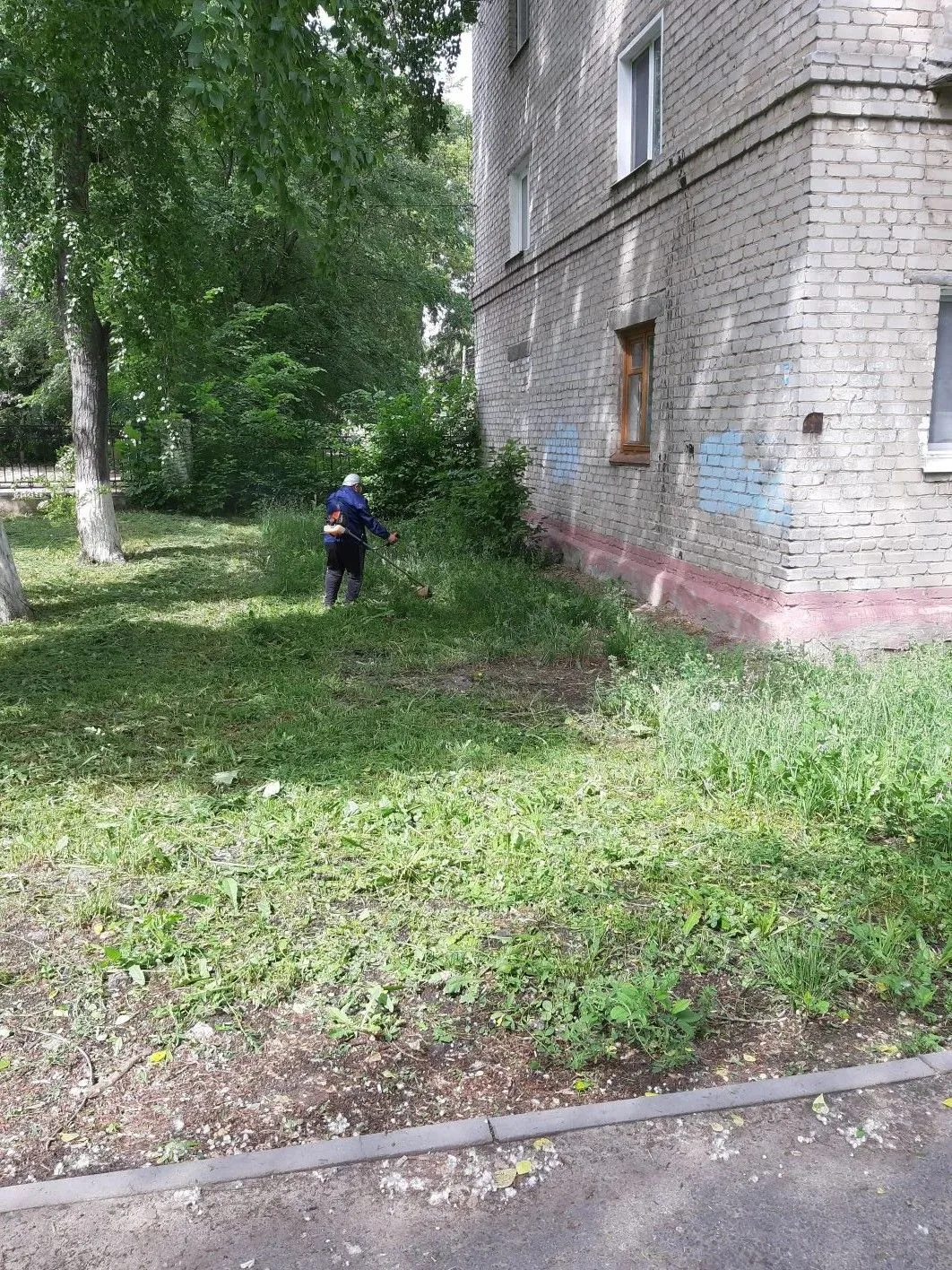 Двор ул. Полбина д. 16 и ул. Западный бульвар, д 8 - покос травы