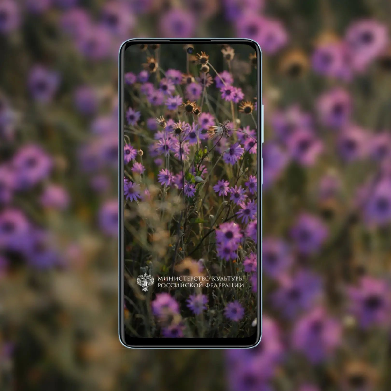 🌿 Замри и чувствуй