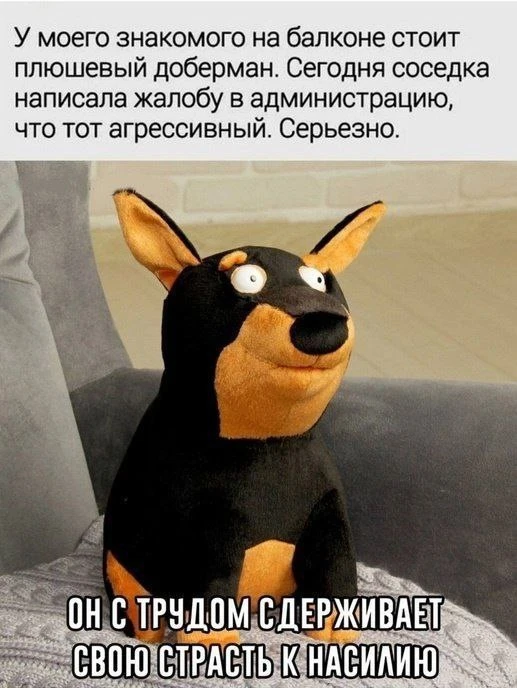 🔹 Он его еще в машине вез без намордника 😄

ЮМОР 360° в MAX   |  TG