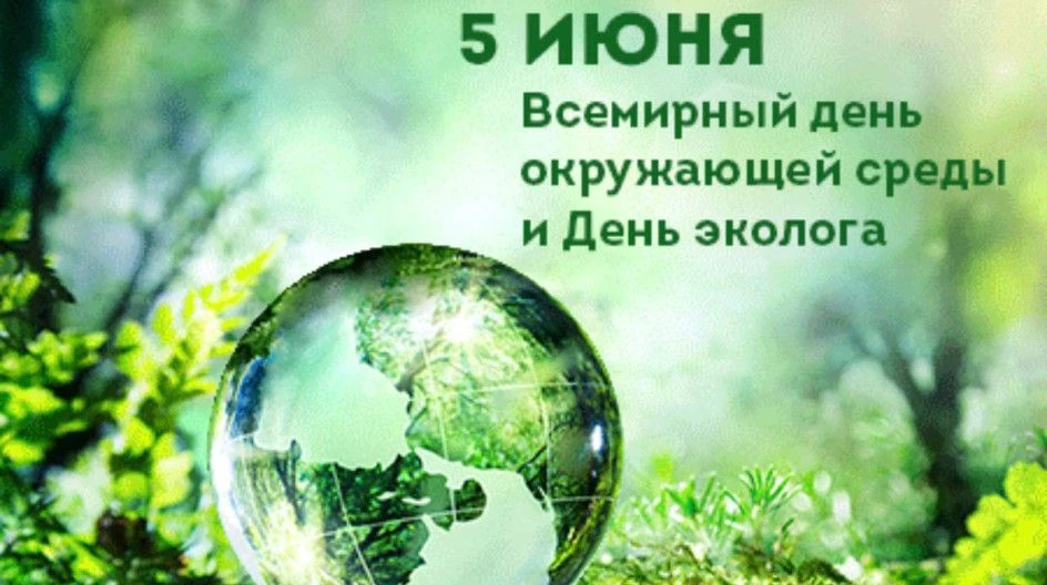 Давайте природу беречь!