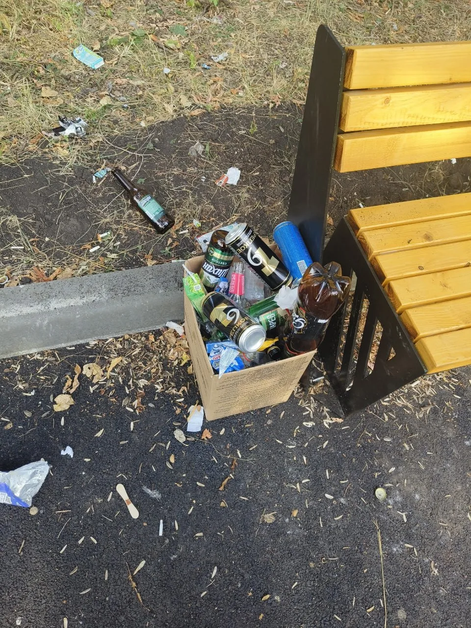 Реконструкция парка Университетский в Магнитогорске закончилась возвращением любителей ...