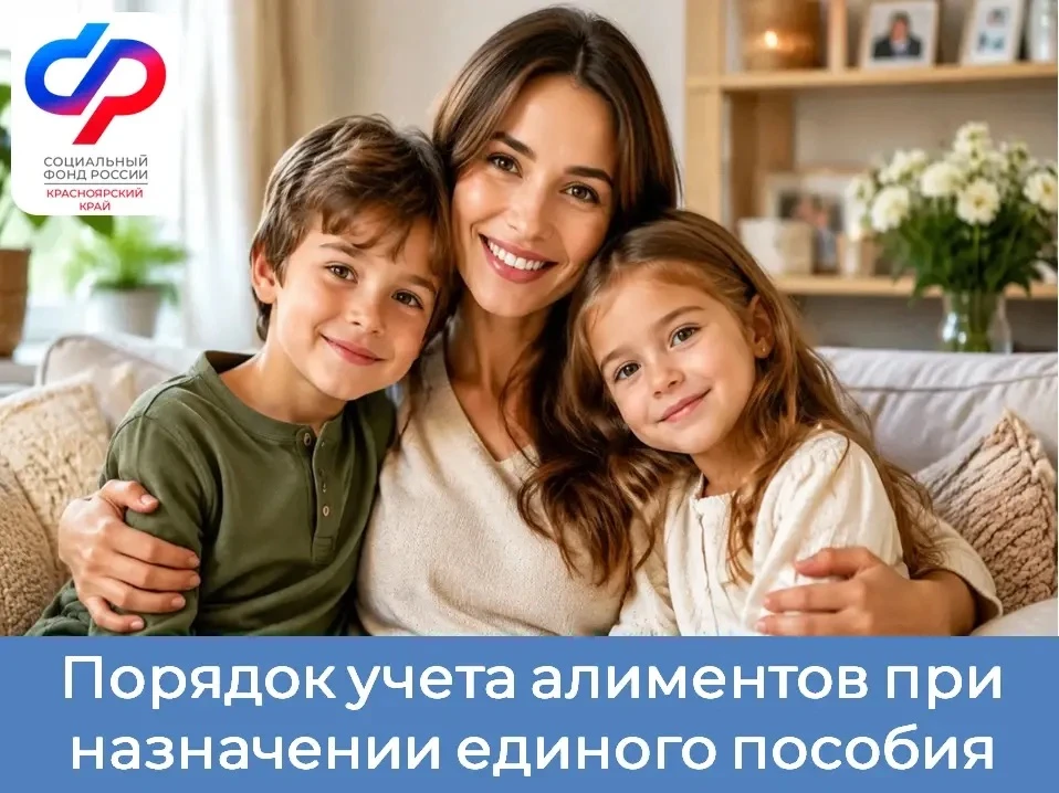 ❓Как учитываются алименты при назначении единого пособия
