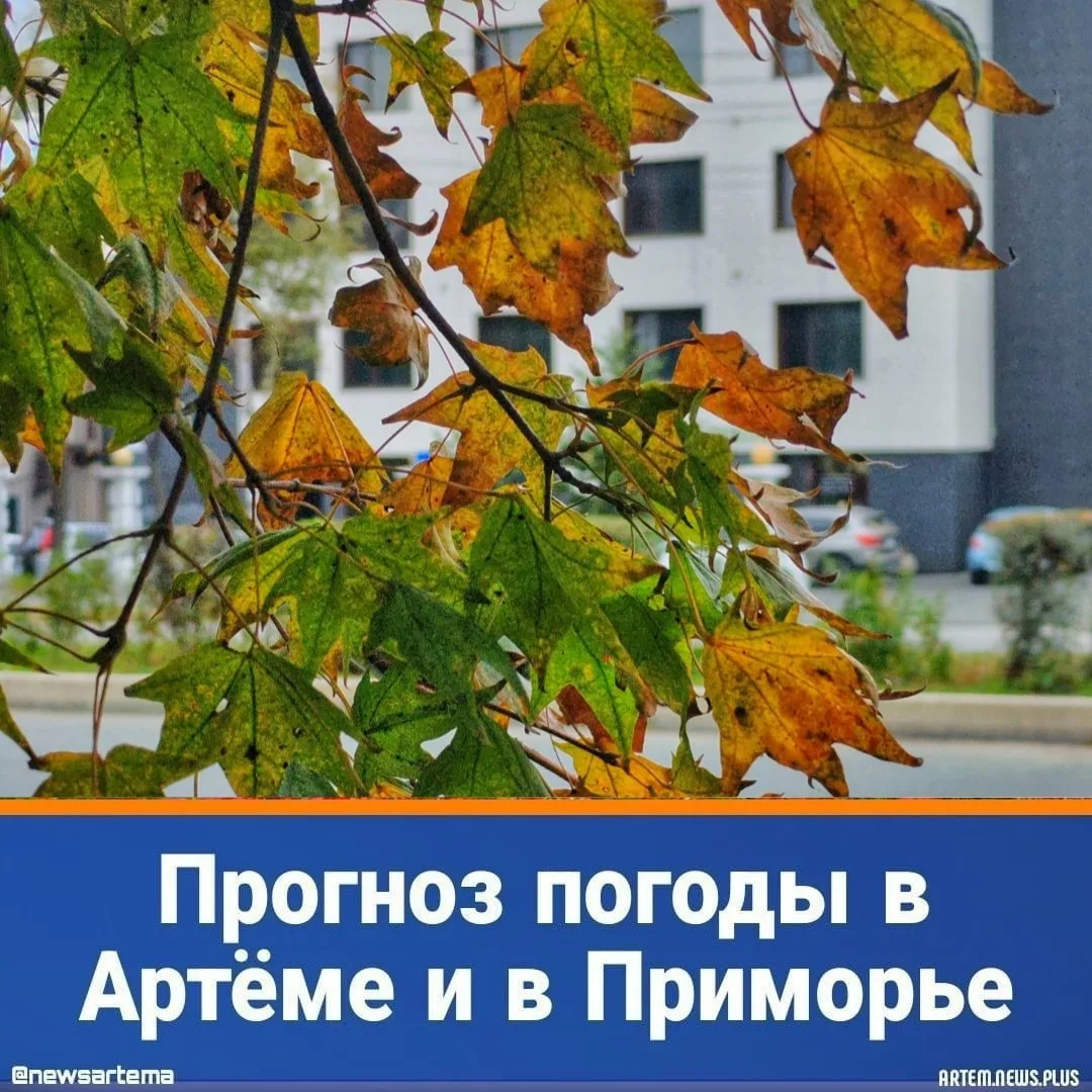 ⭐️ Сегодня, 2 октября, погоду в Приморском крае будет определять тыловая часть циклона....