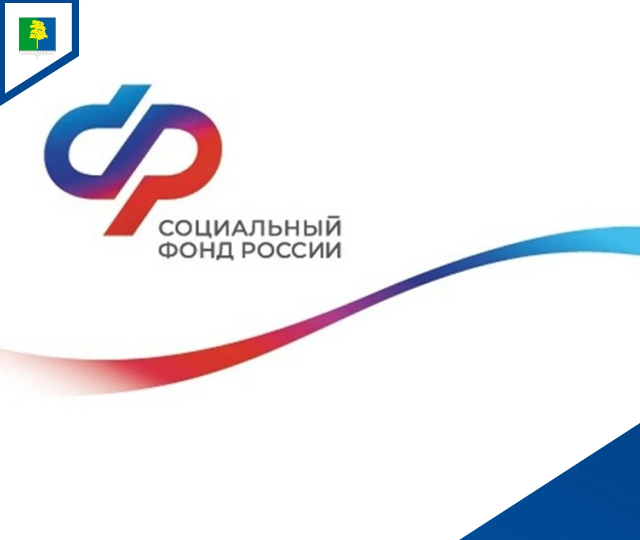 📊 Более 6 тысяч услуг — цифра заботы: итоги работы Отделения СФР по Югре