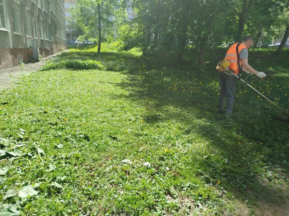 🌿 В летний сезон особое внимание уделяем благоустройству придомовых территорий: регулярно косим трав