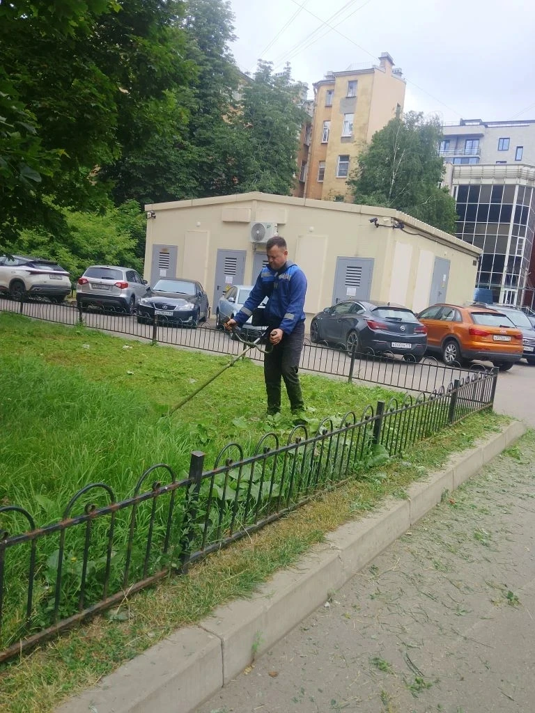 Провели уборку территории. Дорожки чистые, газоны ухоженные.