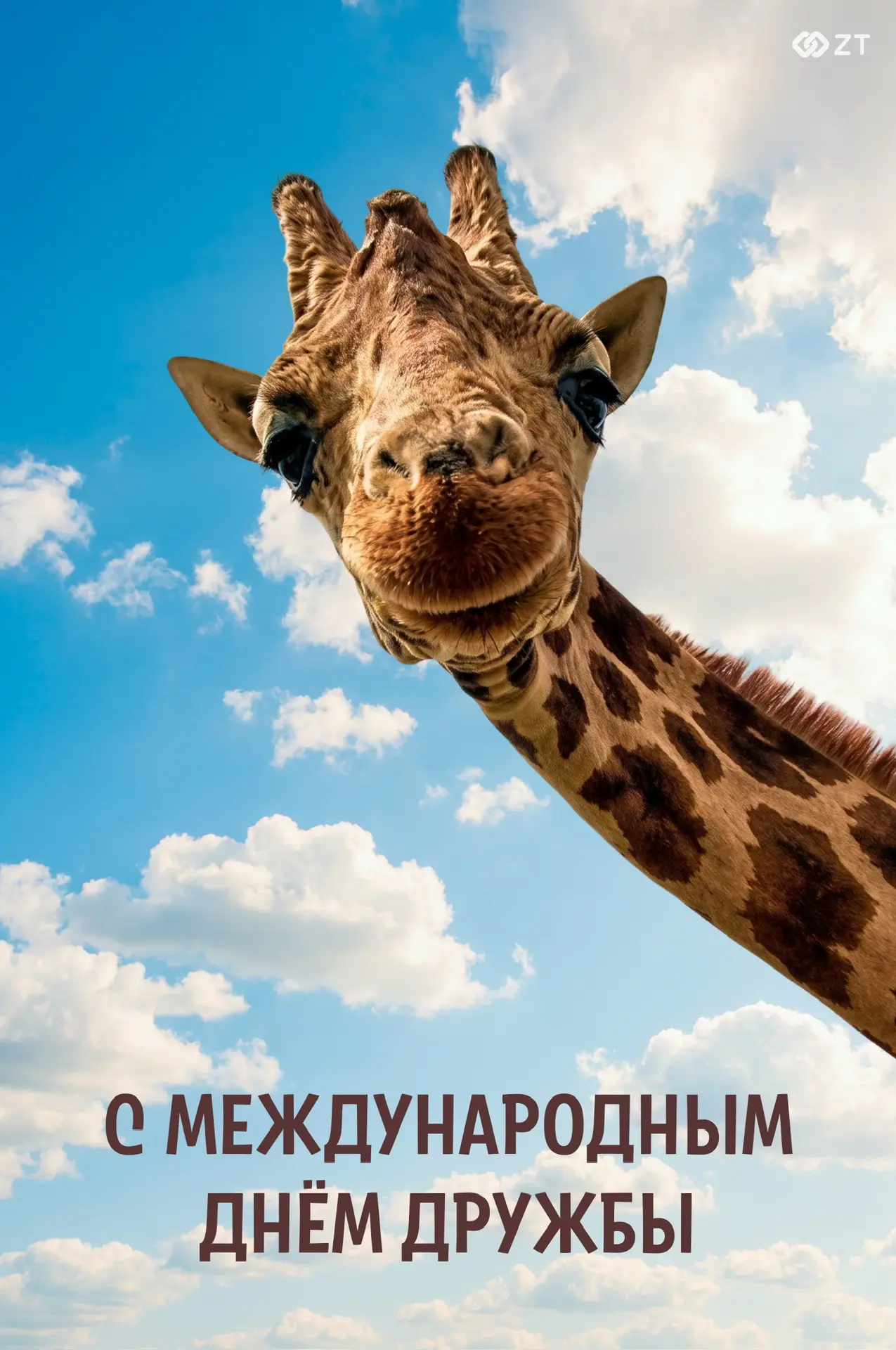 30 июля — Международный день дружбы 🎊

Настоящая дружба не боится расстояний!
Мы подготовили открыт