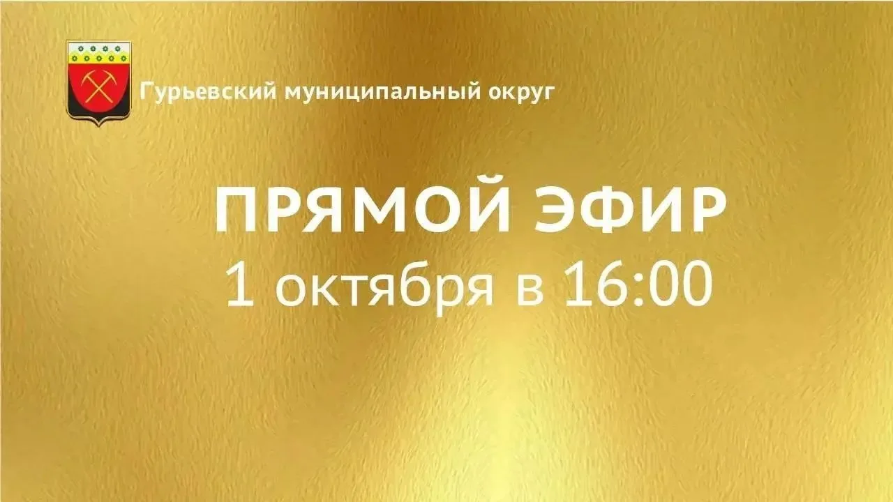 1 октября в 16:00 во «ВКонтакте» главный редактор газеты «Знамёнка» Елена Беседина пров...
