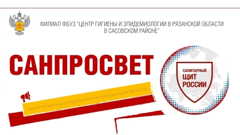 Чек-лист: правила сбора и заготовки грибов 🍄
